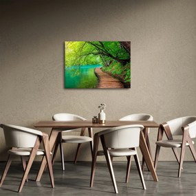 Obraz - Plitvické jazerá (70x50 cm)