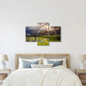 Obraz - Rozkvitnutý strom v krajine (90x60 cm)