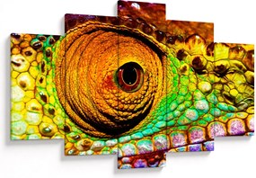 Obraz - Chameleon (150x105 cm)