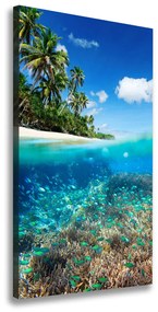 Vertikálny foto obraz na plátne Koralový útes ocv-78236057