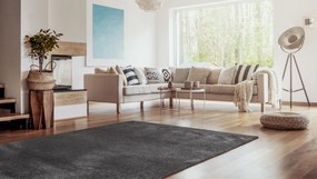 Sintelon, Kusový koberec Dolce Vita 01 / GGG, 80x150, šedá, obývacia izba