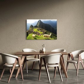 Obraz - Machu Picchu (90x60 cm)