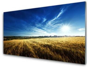 Skleneny obraz Pole obilie slnko krajina 125x50 cm