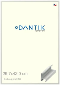 DANTIK rám na obraz 29,7x42 | ALU Bílá matná (Plexi Čiré)