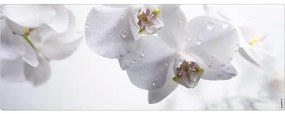 Obklad do kúpeľne mySPOTTI aqua orchid