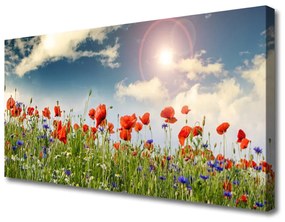 Obraz Canvas Lúka kvety slnko príroda 120x60 cm