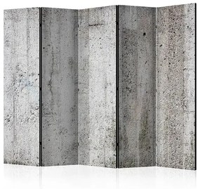 Paraván - Grey Emperor II [Room Dividers] Veľkosť: 225x172, Verzia: Jednostranný