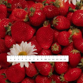 PVC obrus Jahody PV-137 - metráž š. 140 cm