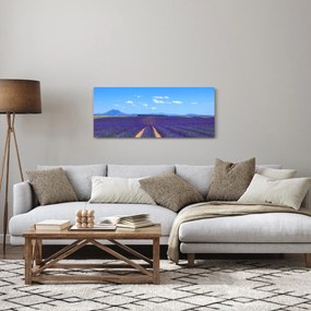 Obraz - Levanduľové pole (120x50 cm)