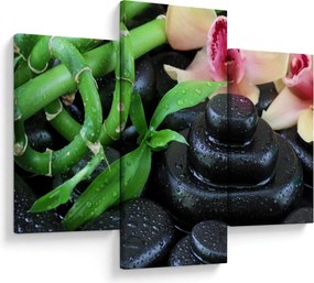 Obraz - Kamene a orchidey (90x60 cm)