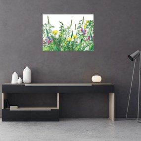 Sklenený obraz - Maľované lúčne kvety (70x50 cm)