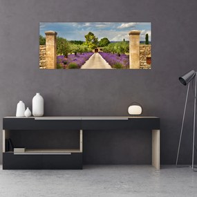 Obraz - Levanduľové cesty (120x50 cm)