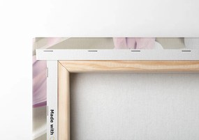 Obraz magnólia na abstraktnom pozadí