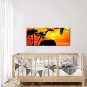 Obraz - papagáje a slony (120x50 cm)