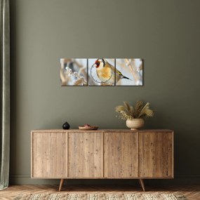 Obraz - Stehlík (s hodinami) (90x30 cm)