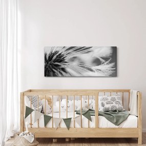 Obraz - Makro, čiernobiela (120x50 cm)