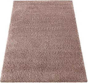 DY Koberec Santo Rose Rozmer: 120x170 cm