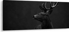 Obraz - Portrét jeleňa (120x50 cm)