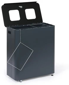 Alda Odpadkový kôš na triedený odpad, 2 x 60 l, lakovaný sivý