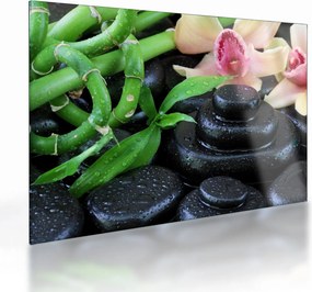 Sklenený obraz - Kamene a orchidey (70x50 cm)
