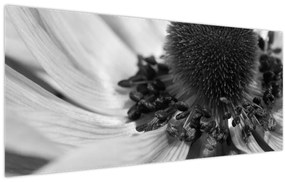 Obraz - Kvetina v čiernobielej (120x50 cm)