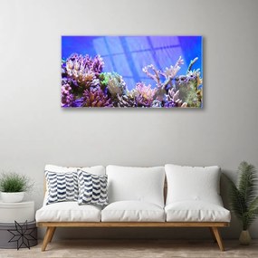 Skleneny obraz Koralový útes príroda 125x50 cm