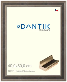 DANTIK rám na obraz 40x50 | TOOTH malá stříbrno černá (Plexi Čiré)