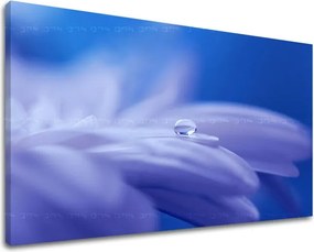 Obraz na stenu KVETY KV087E11 - 20x30 cm