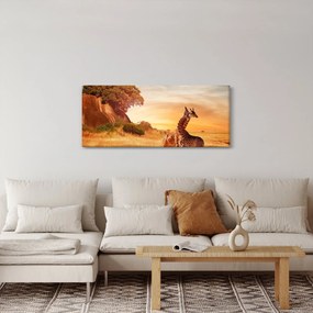 Obraz - Žirafy v Afrike (120x50 cm)