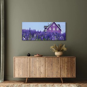 Obraz levanduľového poľa (120x50 cm)