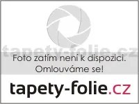 Samolepiace panely na stenu TPL0000008, cena za kus, rozmer 270 cm x 48,5 cm, lamely sivé , IMPOL TRADE