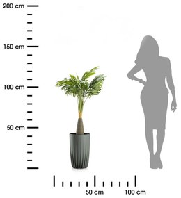 PLASTOVÝ KVETINÁČ STRIPPED 25X42 CM ZELENÁ