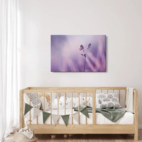 Obraz - Fialové motýliky (90x60 cm)