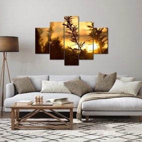 Obraz - Slnko zapadajúce za stromami (150x105 cm)