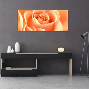 Obraz - Ruža, marhuľová farba (120x50 cm)
