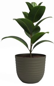 Kvetináč z recyklovaného plastu ø 20 cm Havana – Artevasi