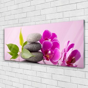Obraz plexi Orchidea vstavač kamene 125x50 cm
