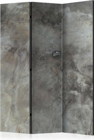 XXXLutz PARAVÁN, 135/172/3 cm artgeist - Paravány - 004875109801