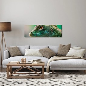 Detailný obraz jaštera (s hodinami) (90x30 cm)