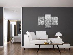 Obraz - Chladná zima (90x60 cm)