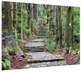 Obraz kamenných schodov v lese (70x50 cm)