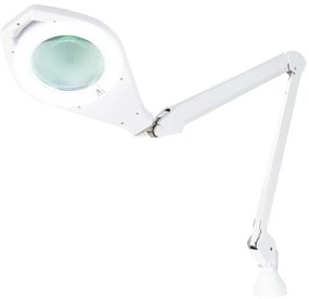 Livarno home LED lampa s lupou  (100379824)