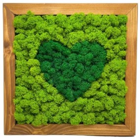 Machový obraz Srdce 25x25 cm