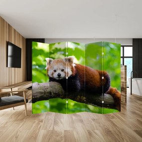 Paraván - Panda červená (210x170 cm)