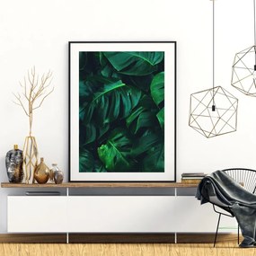 Plagát - Monstera (A4)