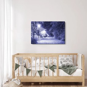 Obraz - Čarovná zimná noc (90x60 cm)