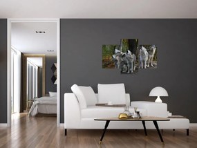Obraz - Vlci na skale (90x60 cm)