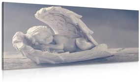 Obraz spiaci anjelik