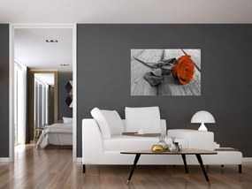 Obraz - Oranžová ruža (90x60 cm)
