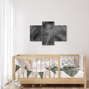 Obraz - Sušená pampová tráva (90x60 cm)